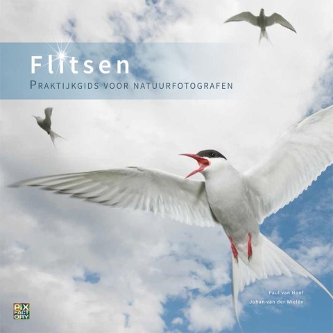 Flitsen (Paperback)