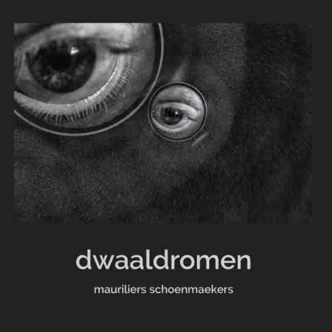 Dwaaldromen (Paperback)