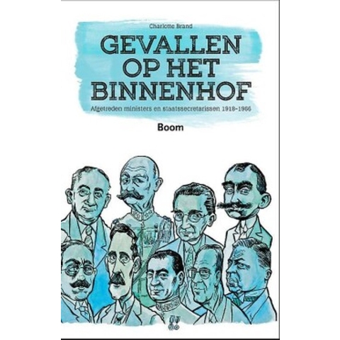 Gevallen op het Binnenhof (Paperback)