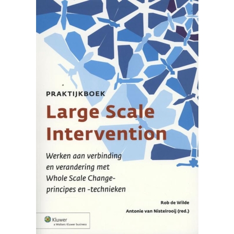 Praktijkboek large scale intervention (Paperback)