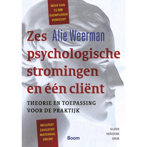 Zes psychologische stromingen en een client (Paperback)