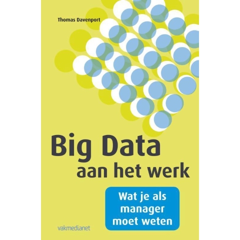 Big data (Paperback)