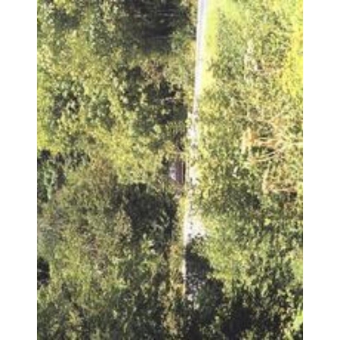 In almost every picture (Paperback)