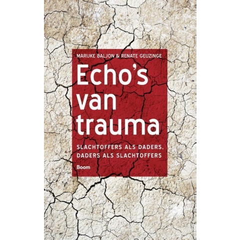 Echo's van trauma (Paperback)