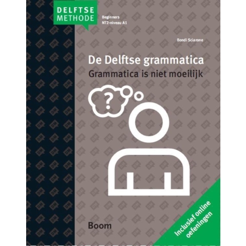 De Delftse grammatica (Paperback)