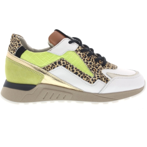 Piedi Nudi Selva 2507-17 Sneakers