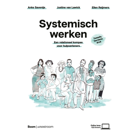 Systemisch werken (Paperback)