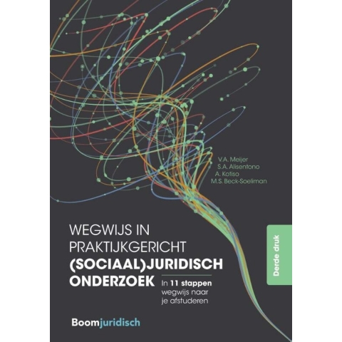 Wegwijs in praktijkgericht (sociaal)juridisch onderzoek (Paperback)