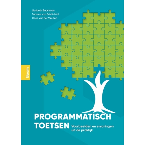 Programmatisch toetsen (Paperback)