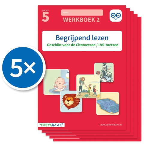 Begrijpend lezen werkboek 2 (Set van 5) (Paperback)