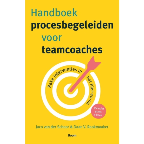 Handboek procesbegeleiden voor teamcoaches (Paperback)