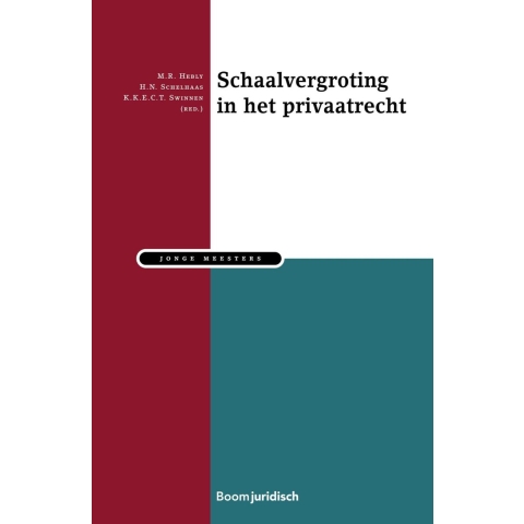 Schaalvergroting in het Privaatrecht (Paperback)