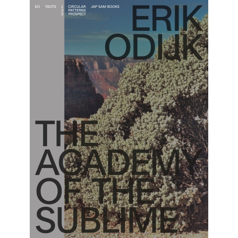 Erik Odijk. The Academy of the Sublime (Paperback)