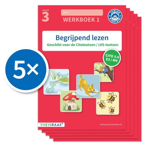 Begrijpend lezen werkboek 1 (Set van 5) (Paperback)