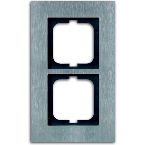 Busch-Jaeger 2-voudig Frame Frame RVS 2CKA001754A4255