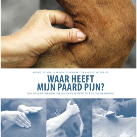 Waar heeft mijn paard pijn? (Paperback)