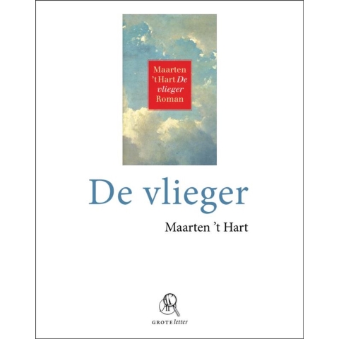 De vlieger (Paperback)