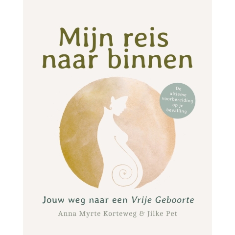 Mijn reis naar binnen (Paperback)