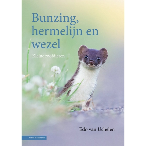 Bunzing, hermelijn en wezel (Hardback)