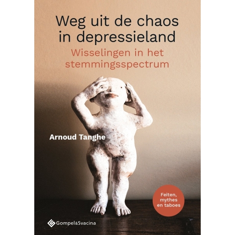 Weg uit de chaos in depressieland (Paperback)