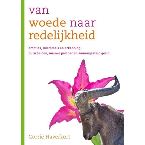 Van woede naar redelijkheid (Paperback)