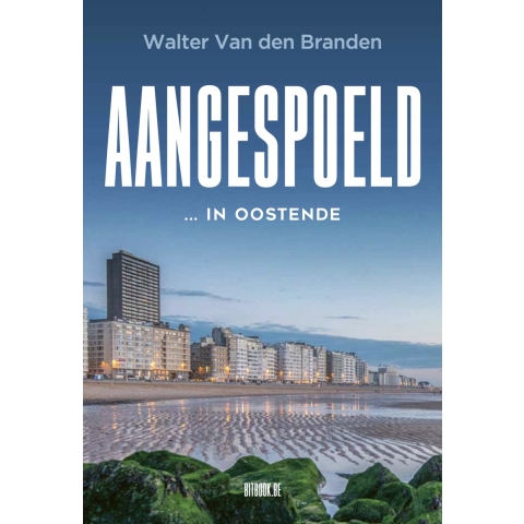 Aangespoeld (Paperback)