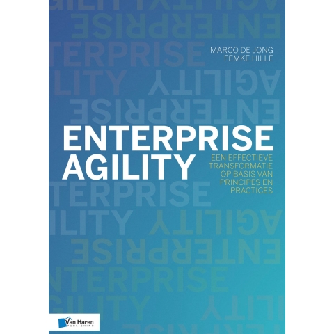 Enterprise Agility (Paperback)