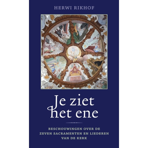 Je ziet het ene (Hardback)