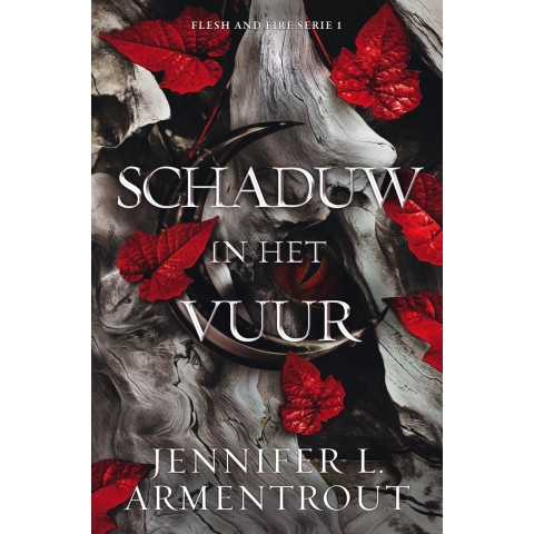 Schaduw in het vuur (Paperback)