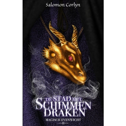 De stad met schimmendraken (Paperback)