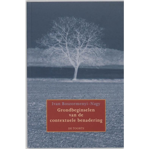 Grondbeginselen van de contextuele benadering (Paperback)