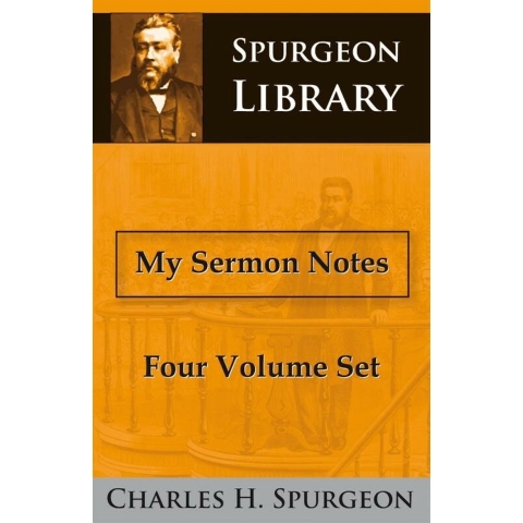 My sermon notes (Paperback)