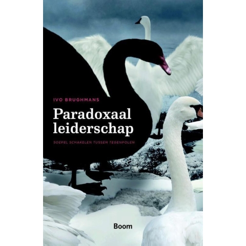 Paradoxaal leiderschap (Paperback)