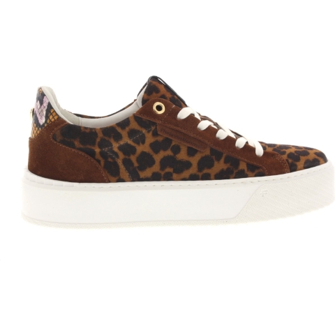 Floris van Bommel SFW-10106 Sneakers