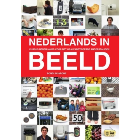 Nederlands in beeld (Paperback)
