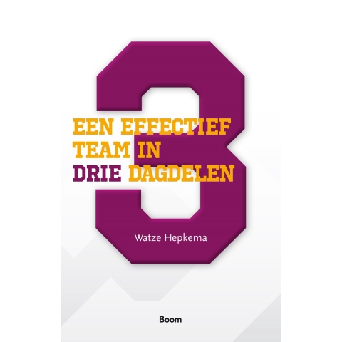 Een effectief team in drie dagdelen (Paperback)