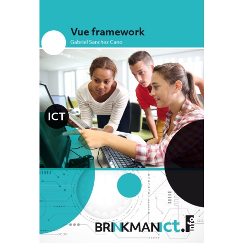 Vue framework (Paperback)