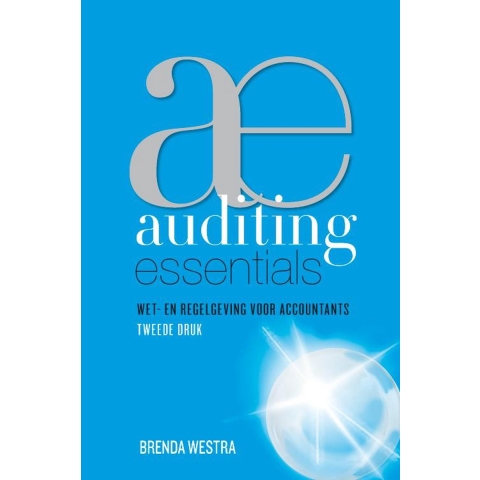 Auditing essentials (Paperback)