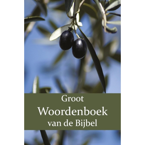 Groot Woordenboek van de Bijbel (Paperback)