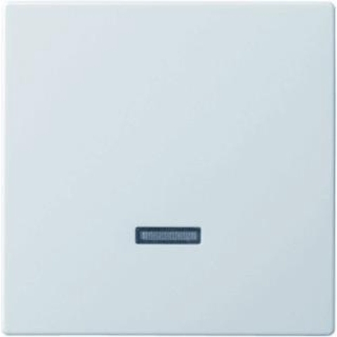 Busch-Jaeger 6543-84-101 Ingangsmodule Zonder opdruk Verkeerswit, Wit 1 stuk(s)