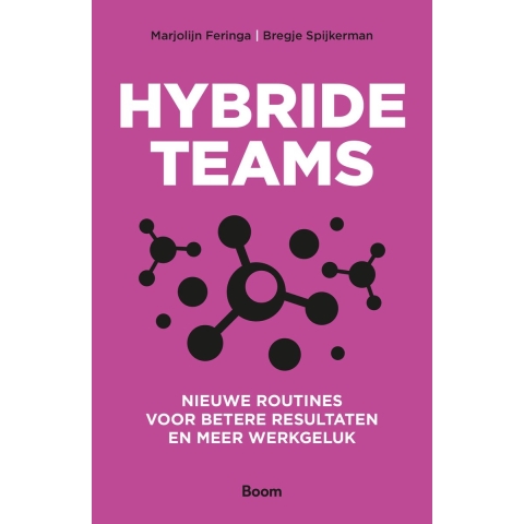 Hybride teams (Paperback)