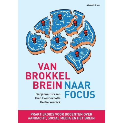 Van brokkelbrein naar focus (Paperback)