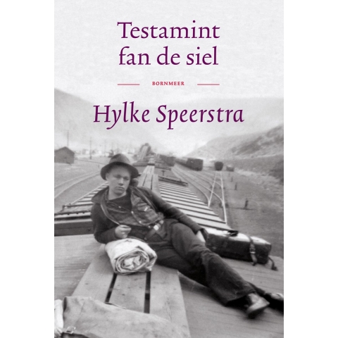 Testamint fan de siel (Hardback)