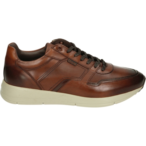 Greve 3280.09 Walker K Sneakers