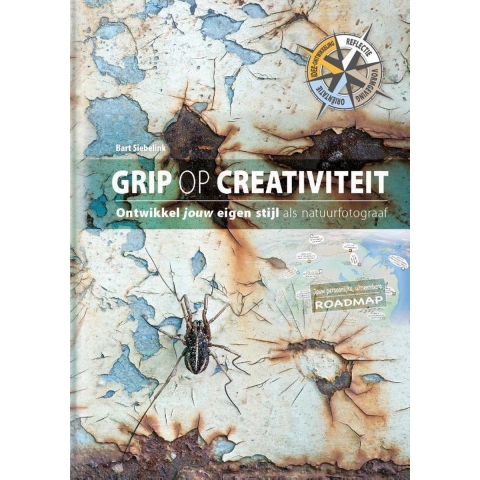 Grip op creativiteit (Hardback)