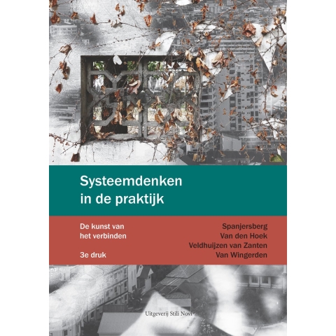 Systeemdenken in de praktijk (Paperback)