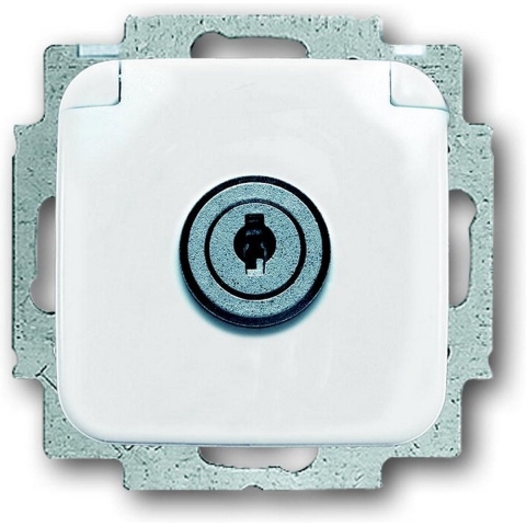 ABB 2CKA002018A1479 Apparaatinzetstuk IP20 Zuiver wit (RAL 9010), Wit
