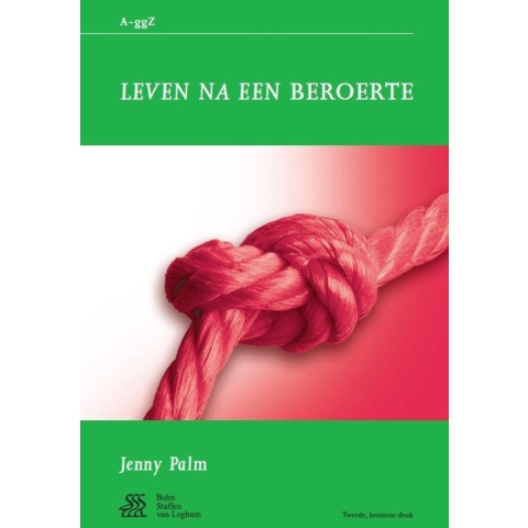 Leven na een beroerte (Paperback)