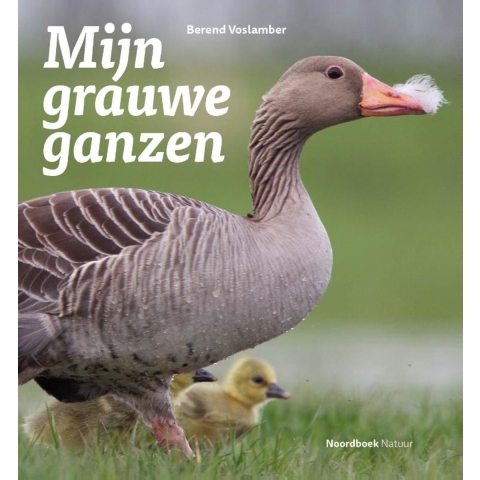 Mijn grauwe ganzen (Paperback)