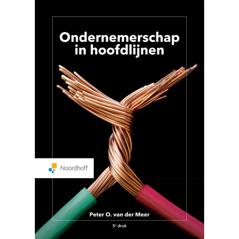 Ondernemerschap in hoofdlijnen (Paperback)